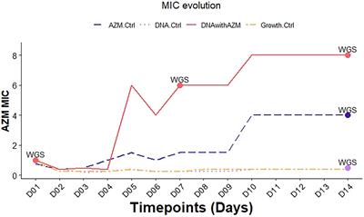 Successful Intra- but Not Inter-species Recombination of msr(D) in Neisseria subflava